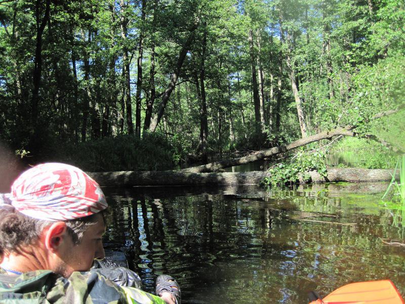 post-6657-0-00541300-1364802208_thumb.jp