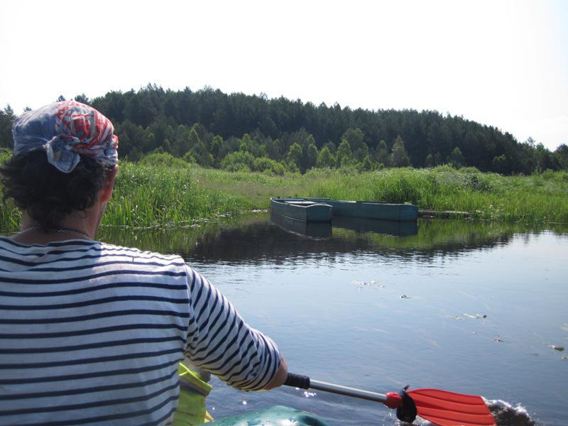 post-6657-0-01899400-1365149003_thumb.jp