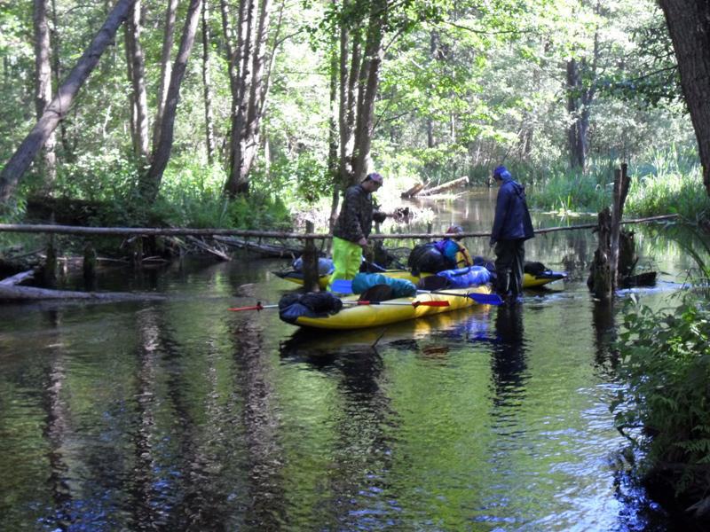 post-6657-0-03156700-1364802220_thumb.jp