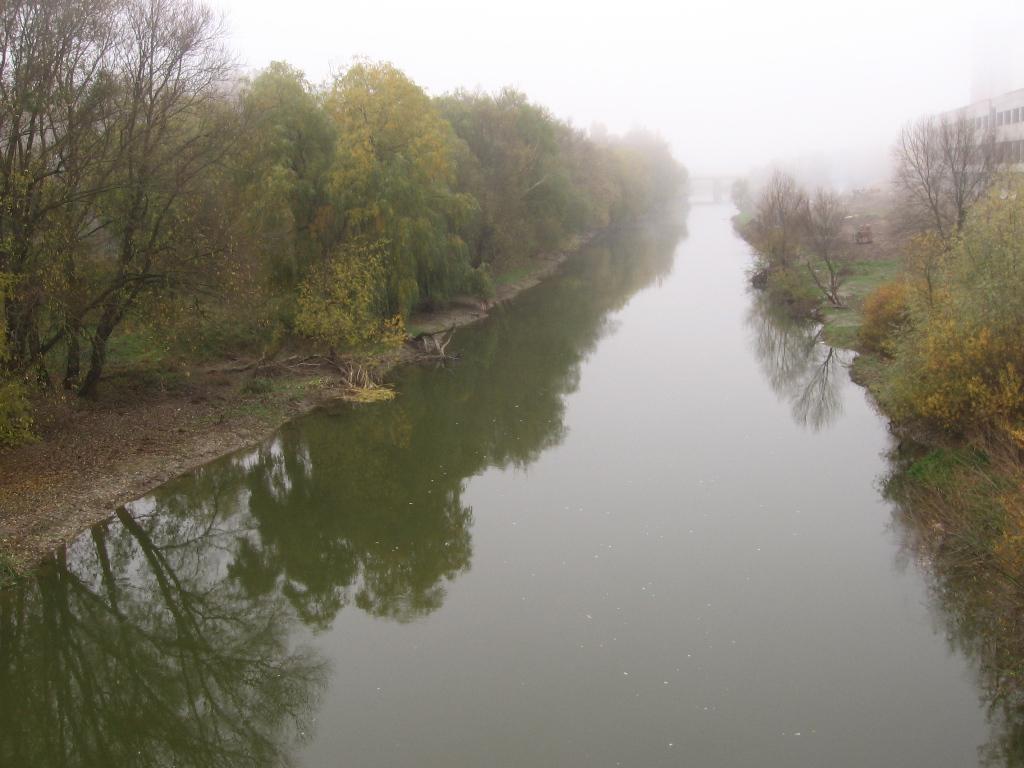 post-6657-0-06727200-1364973344_thumb.jp