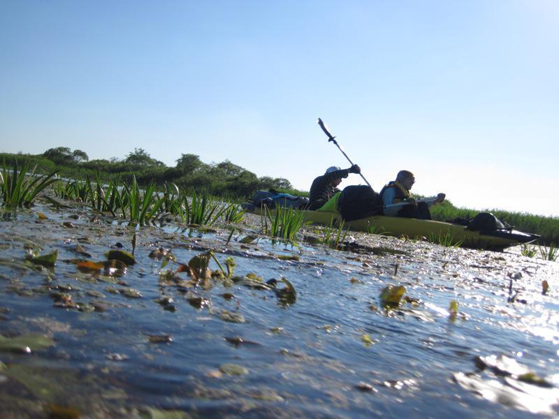 post-6657-0-07120400-1364970677_thumb.jp