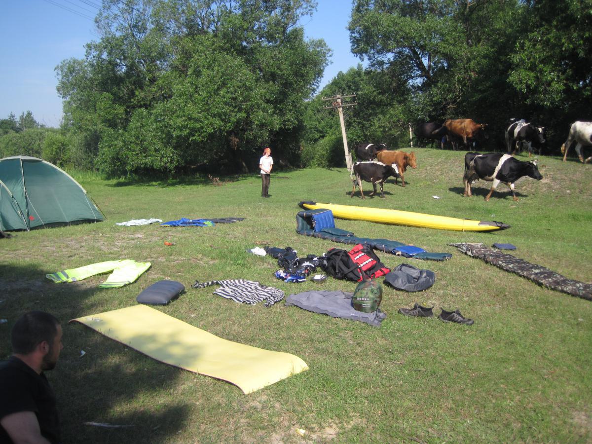 post-6657-0-07597800-1365149626_thumb.jp