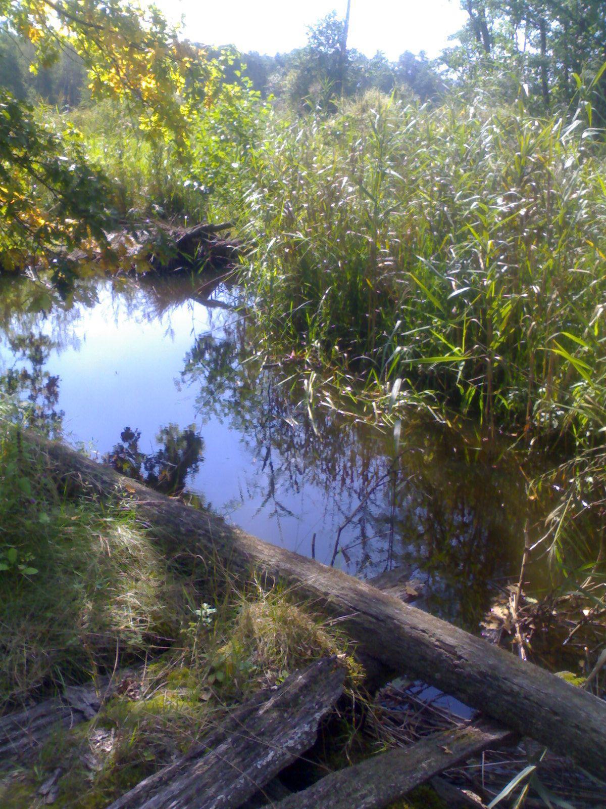 post-6657-0-10944600-1365768621_thumb.jp