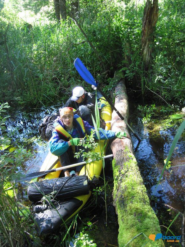 post-6657-0-12645100-1364801917_thumb.jp