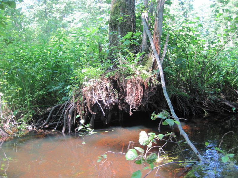 post-6657-0-15746400-1364969901_thumb.jp