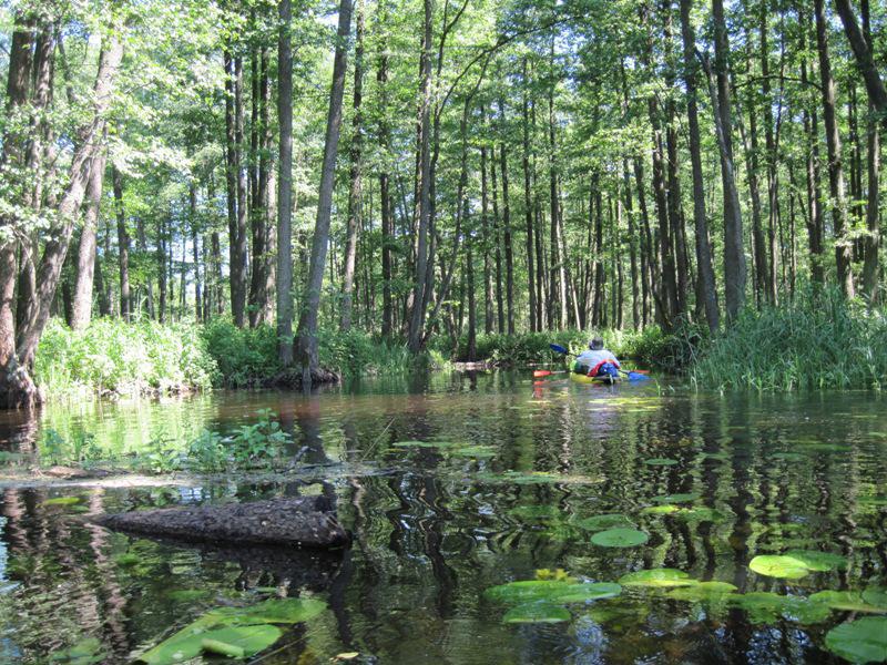 post-6657-0-17207700-1364969918_thumb.jp