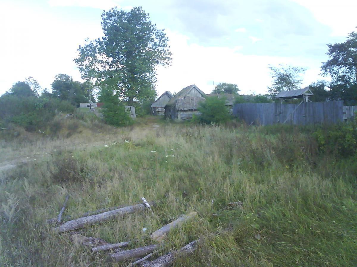 post-6657-0-17685300-1365178774_thumb.jp