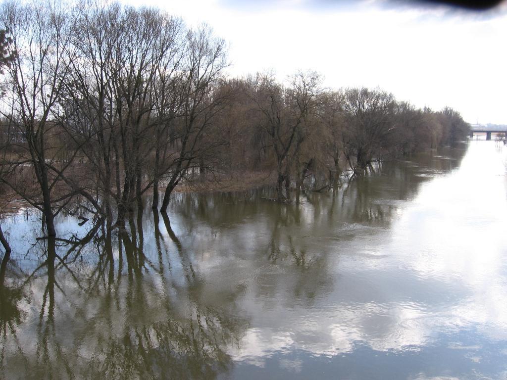 post-6657-0-17719200-1364973083_thumb.jp