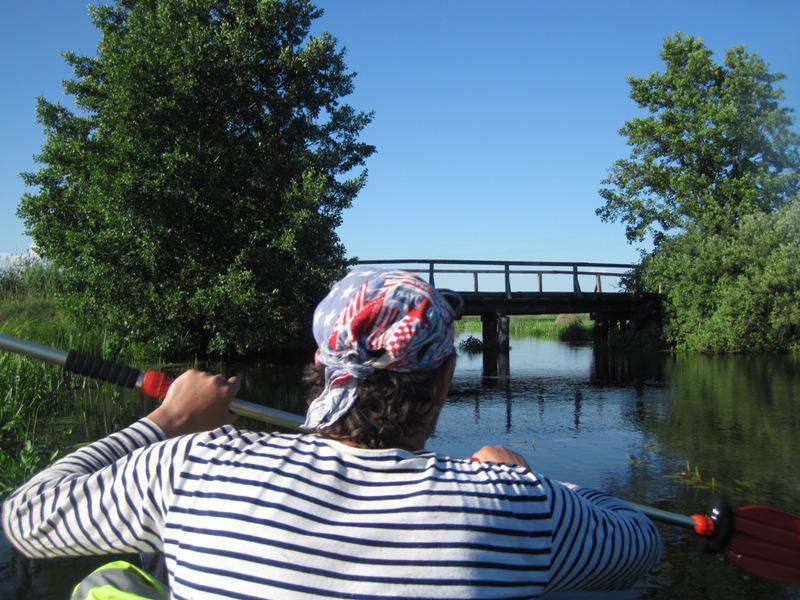 post-6657-0-20108000-1364970758_thumb.jp