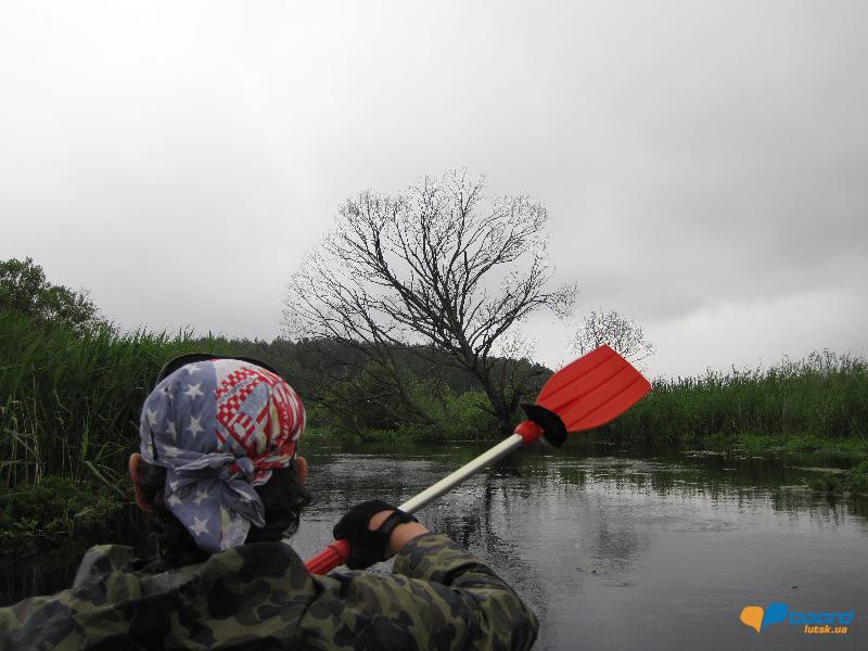 post-6657-0-20492000-1364800420_thumb.jp