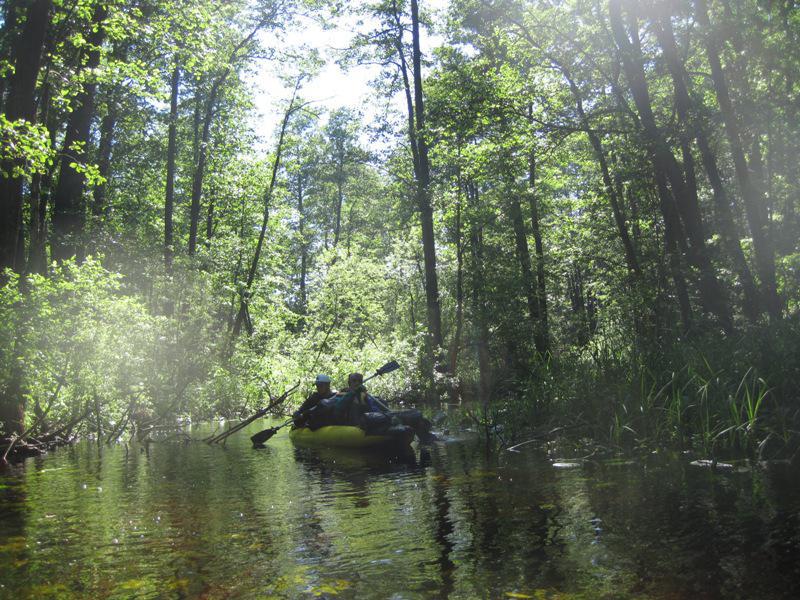 post-6657-0-21493800-1364802191_thumb.jp