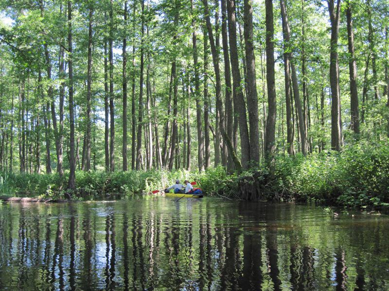 post-6657-0-24214900-1364969927_thumb.jp