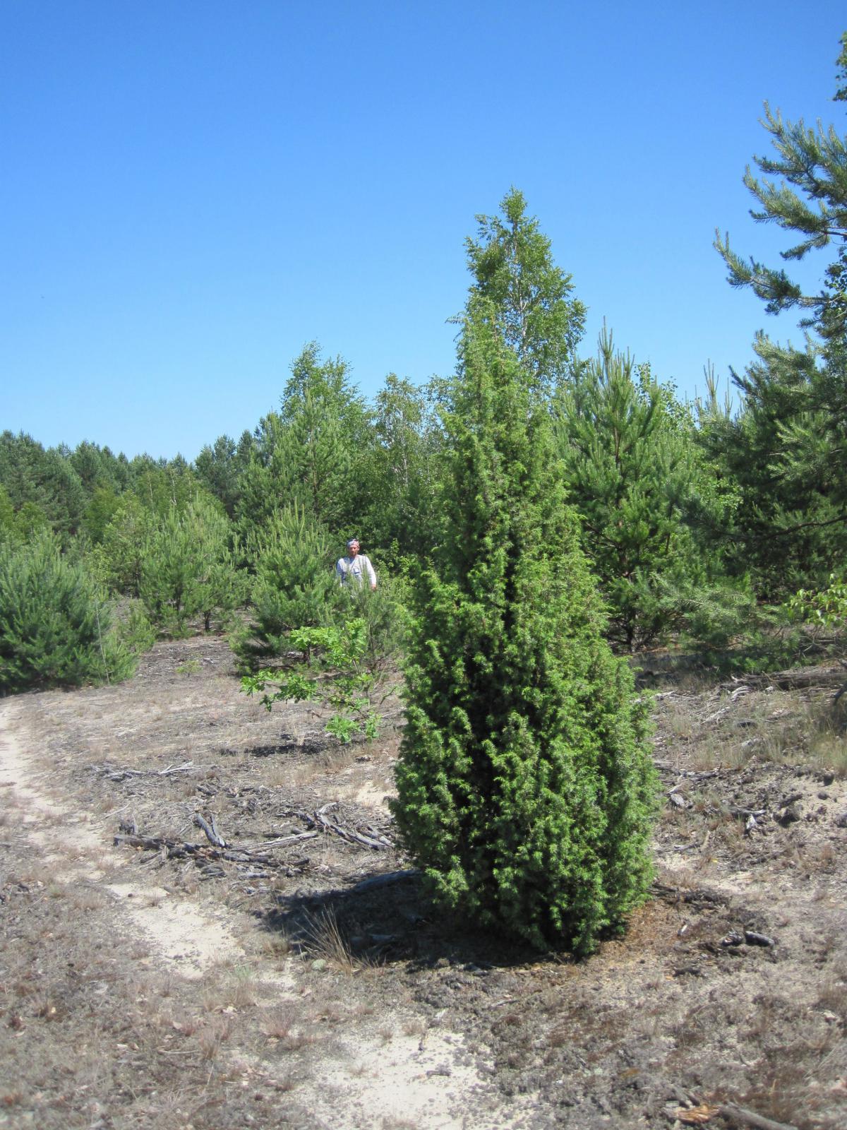 post-6657-0-24717600-1364970175_thumb.jp