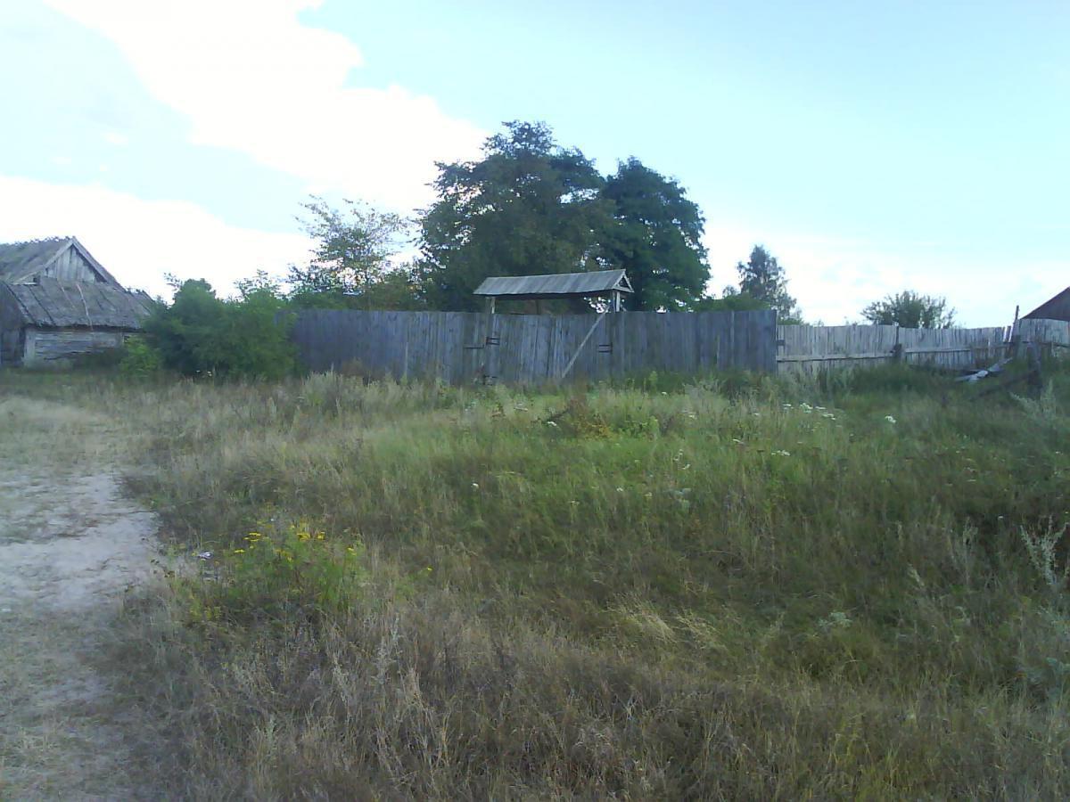 post-6657-0-25052400-1365178782_thumb.jp