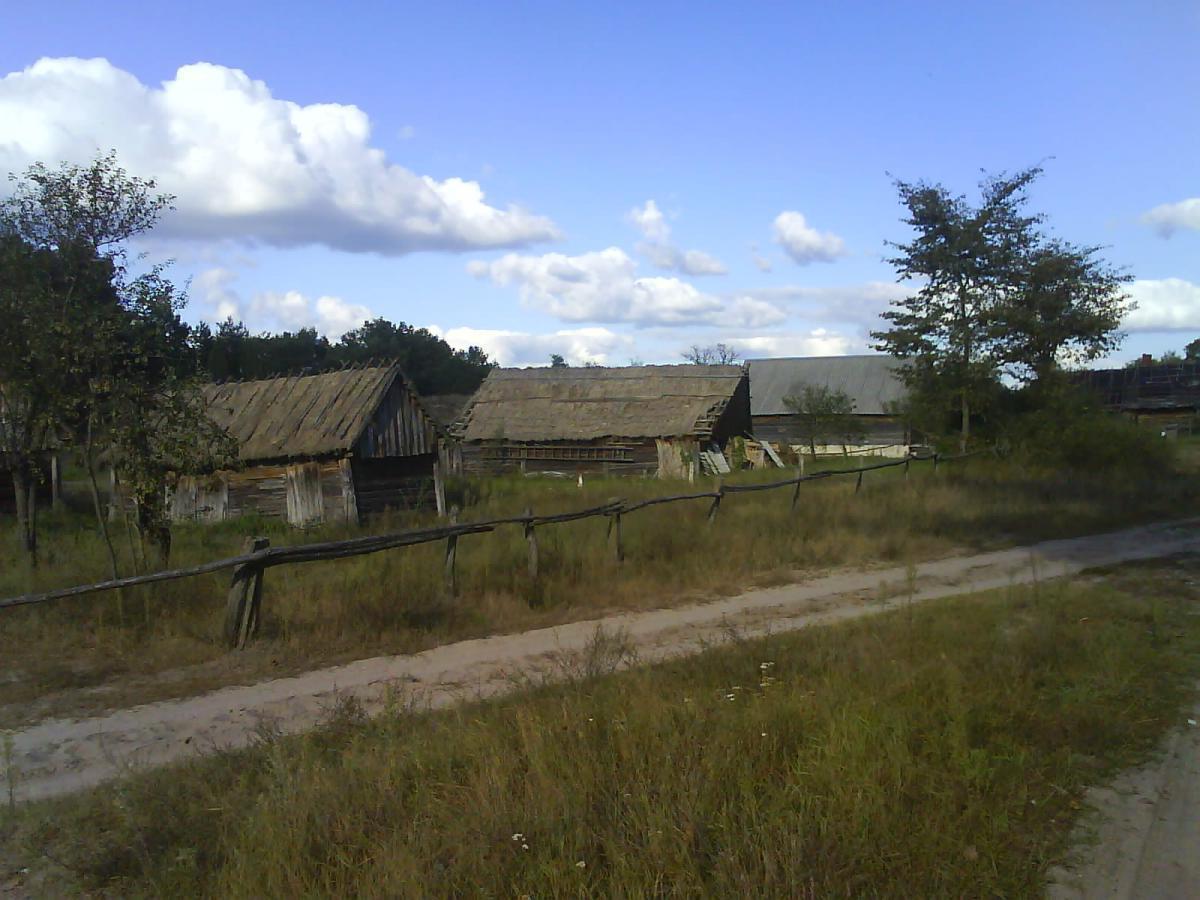 post-6657-0-26669200-1365178802_thumb.jp