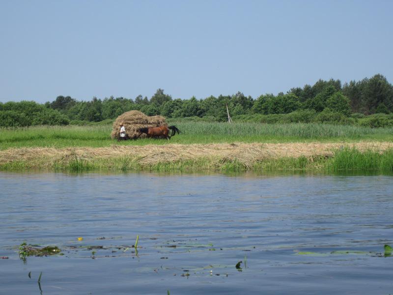 post-6657-0-26764600-1365149076_thumb.jp