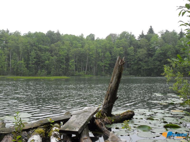 post-6657-0-31593900-1364800691_thumb.jp