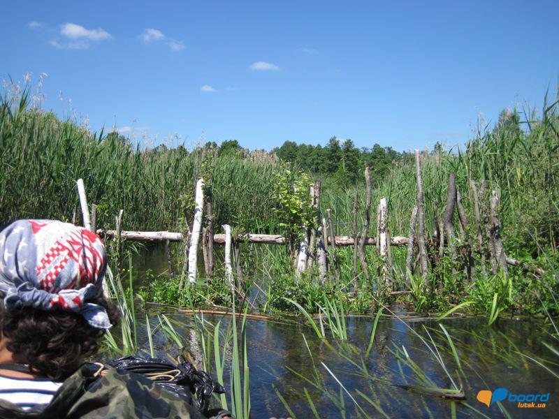 post-6657-0-32780500-1364801632_thumb.jp