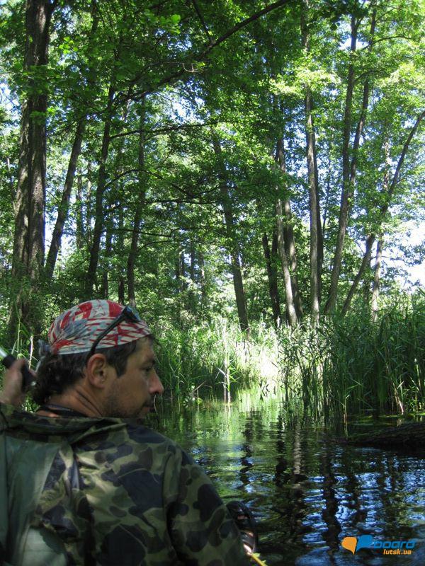 post-6657-0-33938600-1364801945_thumb.jp