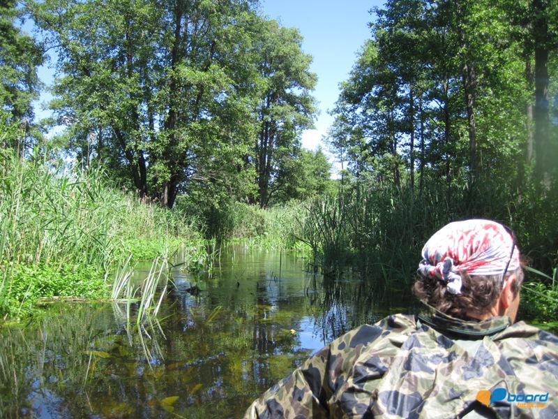 post-6657-0-36687600-1364801642_thumb.jp