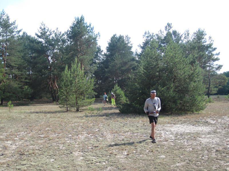 post-6657-0-37914200-1365149402_thumb.jp