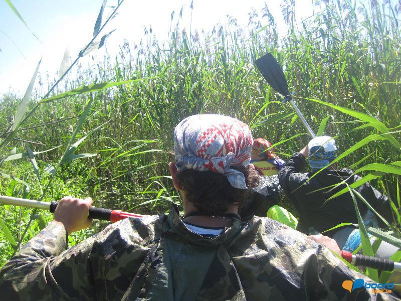 post-6657-0-39056500-1364801613_thumb.jp