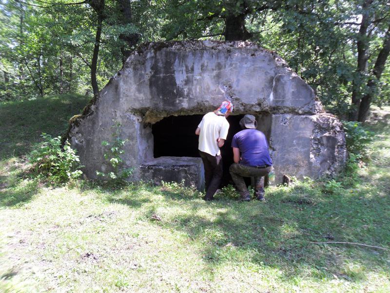 post-6657-0-40446400-1365149732_thumb.jp