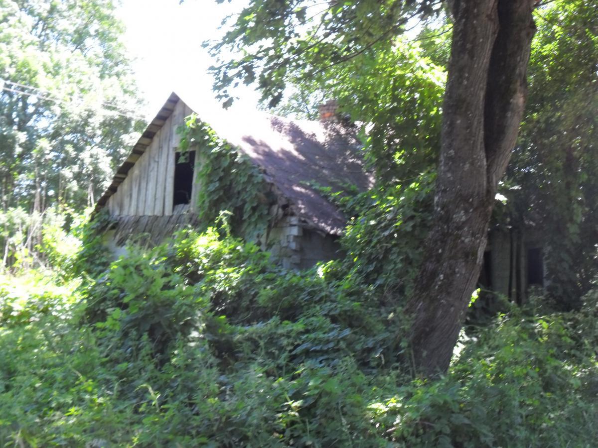 post-6657-0-41249200-1365226926_thumb.jp