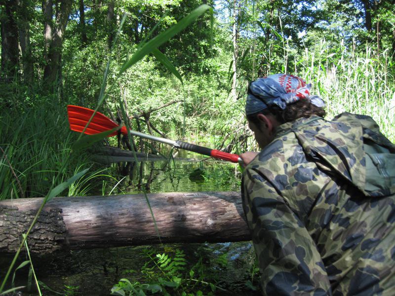 post-6657-0-43027500-1364801979_thumb.jp