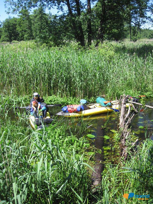 post-6657-0-43686900-1364801592_thumb.jp