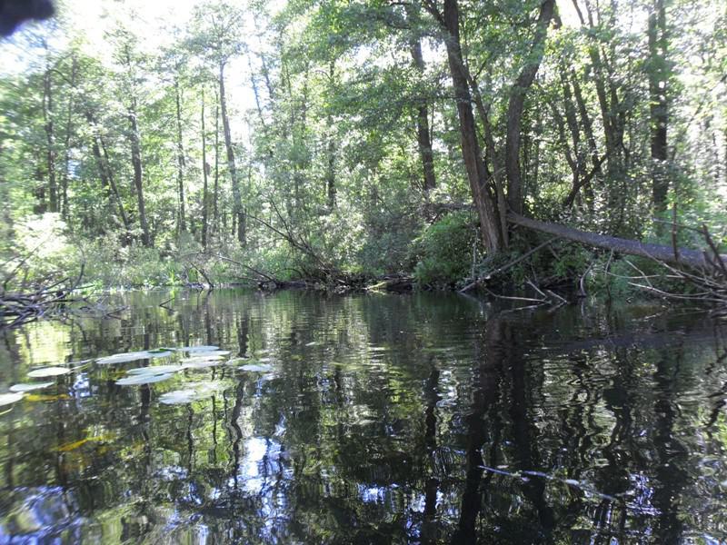 post-6657-0-51195200-1364802177_thumb.jp