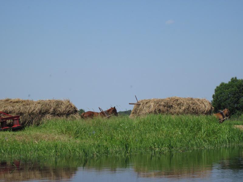 post-6657-0-52143400-1365149050_thumb.jp