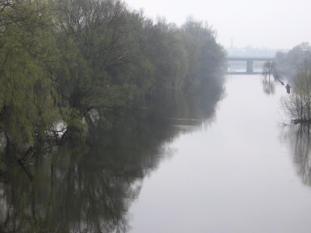 post-6657-0-52288700-1364973280_thumb.jp