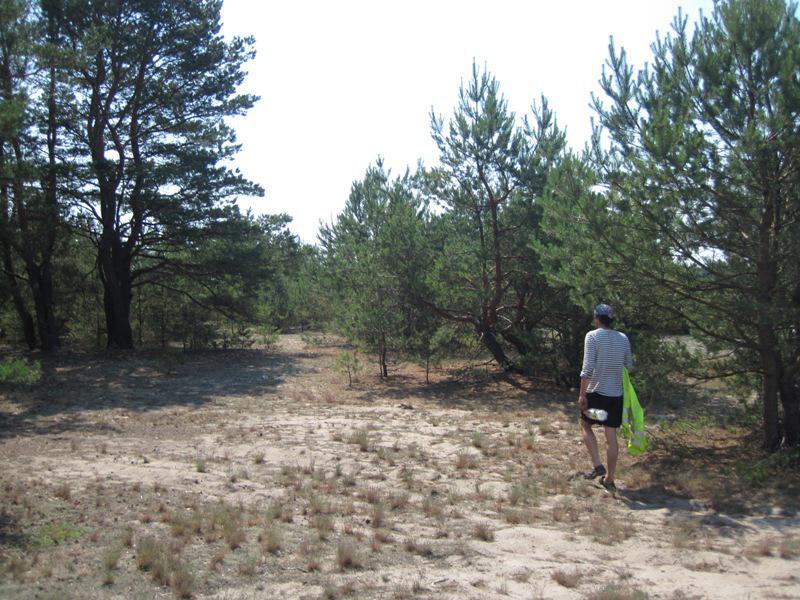 post-6657-0-52763200-1365149129_thumb.jp