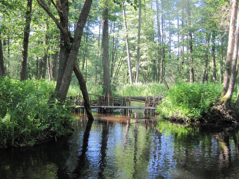 post-6657-0-57488400-1364802164_thumb.jp