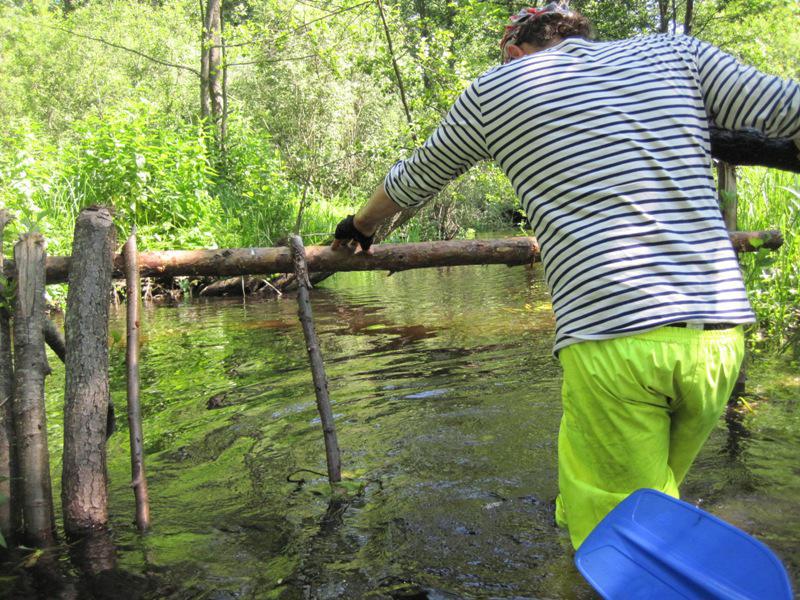 post-6657-0-58898100-1364969898_thumb.jp