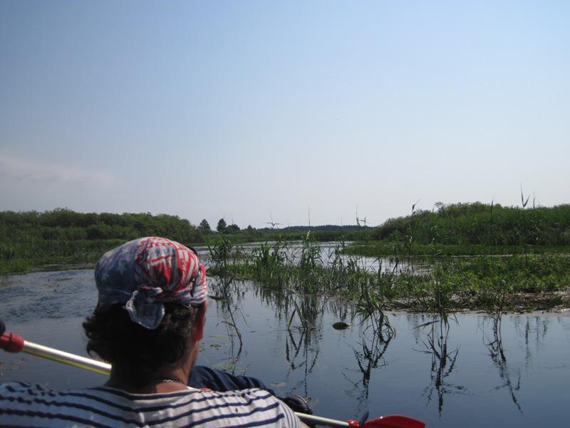 post-6657-0-59372600-1365148988_thumb.jp