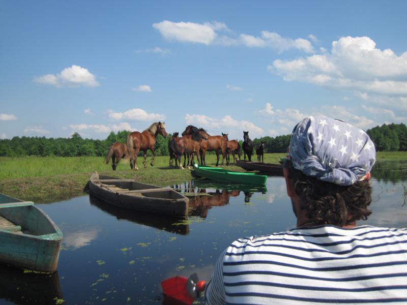 post-6657-0-59881200-1365149415_thumb.jp