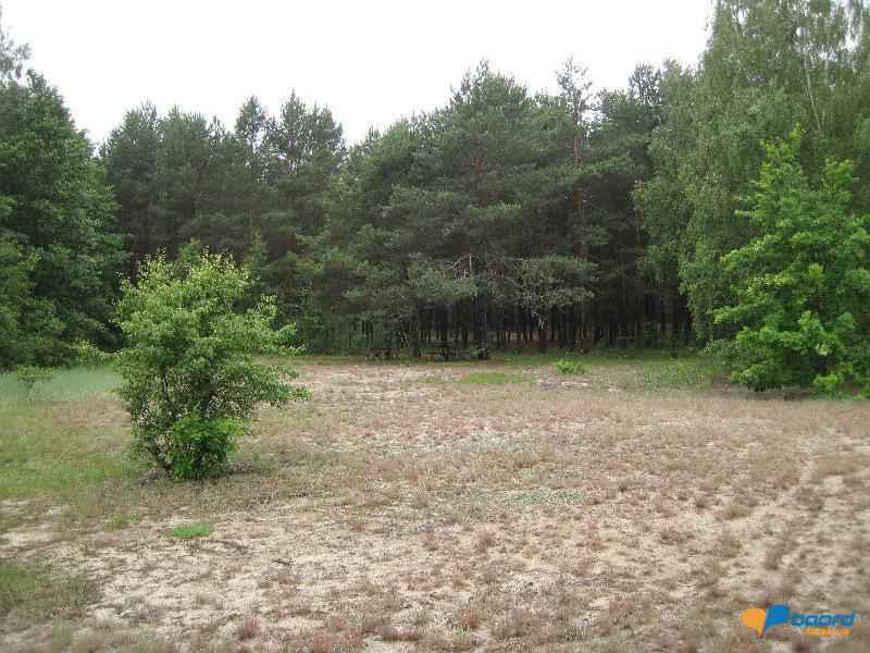 post-6657-0-61049700-1364800431_thumb.jp