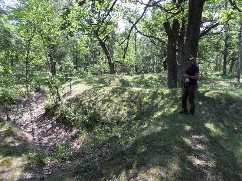 post-6657-0-64196300-1365149708_thumb.jp