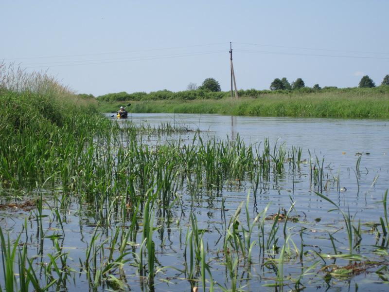 post-6657-0-65117200-1365149079_thumb.jp