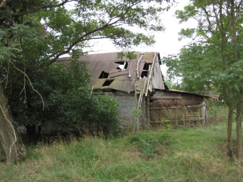 post-6657-0-70707400-1365226989_thumb.jp