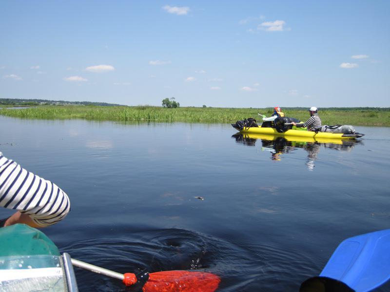 post-6657-0-71760800-1365149270_thumb.jp