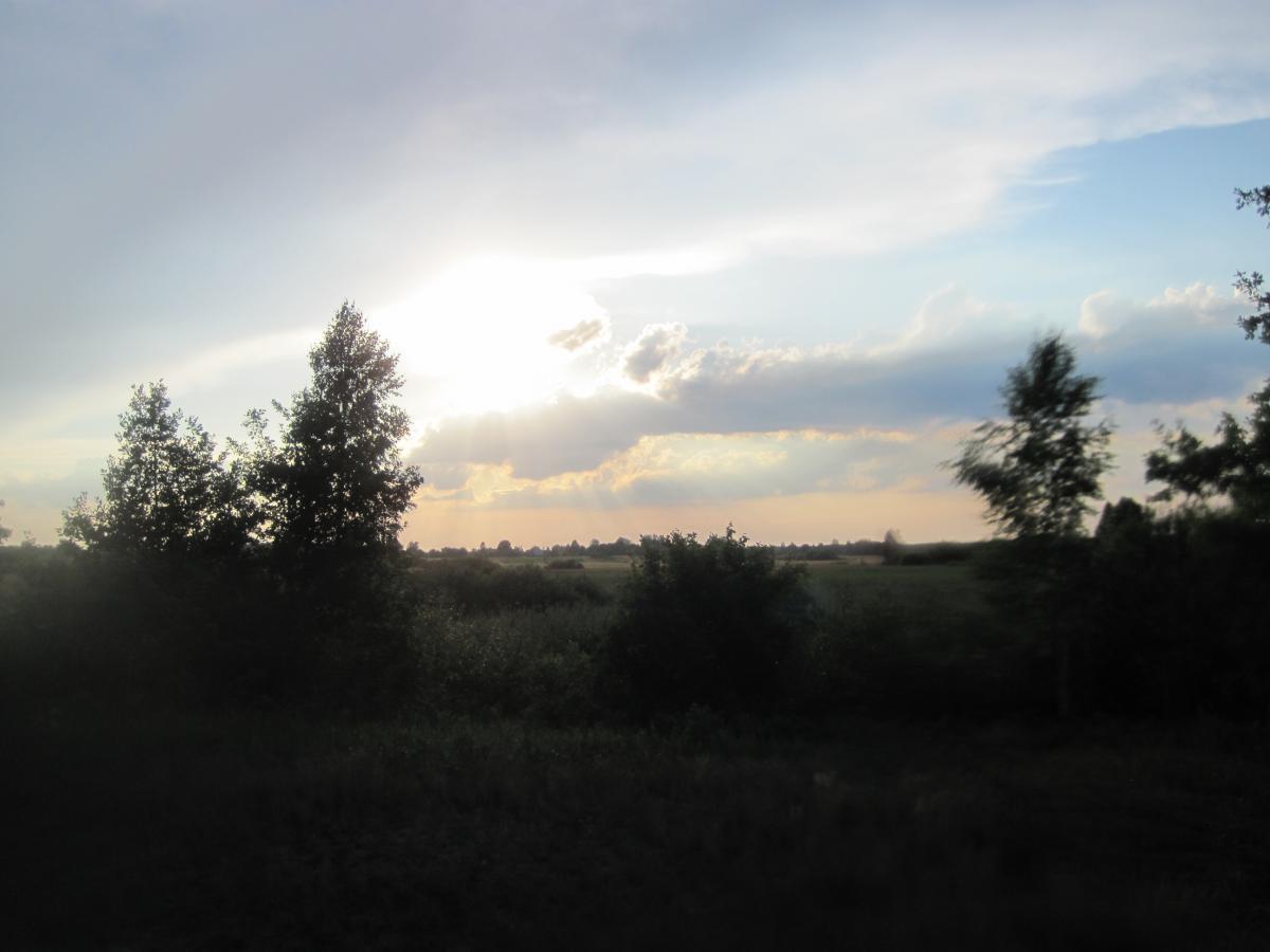 post-6657-0-71847000-1364971017_thumb.jp