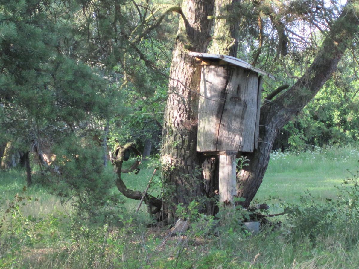 post-6657-0-72621500-1365175337_thumb.jp