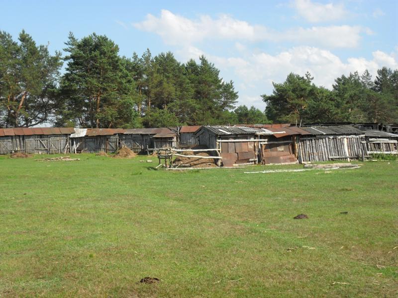 post-6657-0-73850000-1365149441_thumb.jp