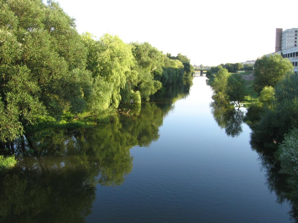 post-6657-0-74679200-1364973315_thumb.jp