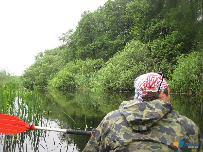 post-6657-0-77291500-1364800613_thumb.jp