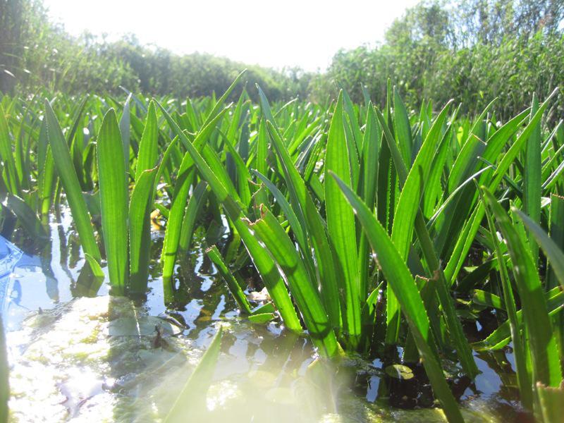 post-6657-0-81327500-1364970607_thumb.jp