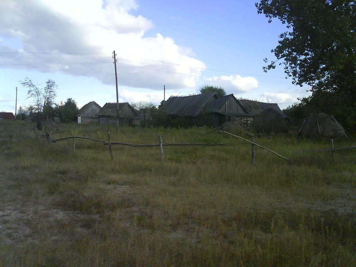 post-6657-0-82250800-1365178785_thumb.jp